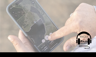 Phone in hand with map displayed.