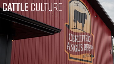 1225-cattleculture16x9