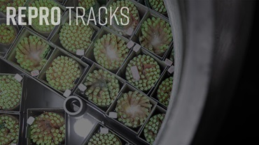 0425-repro-tracks16x9