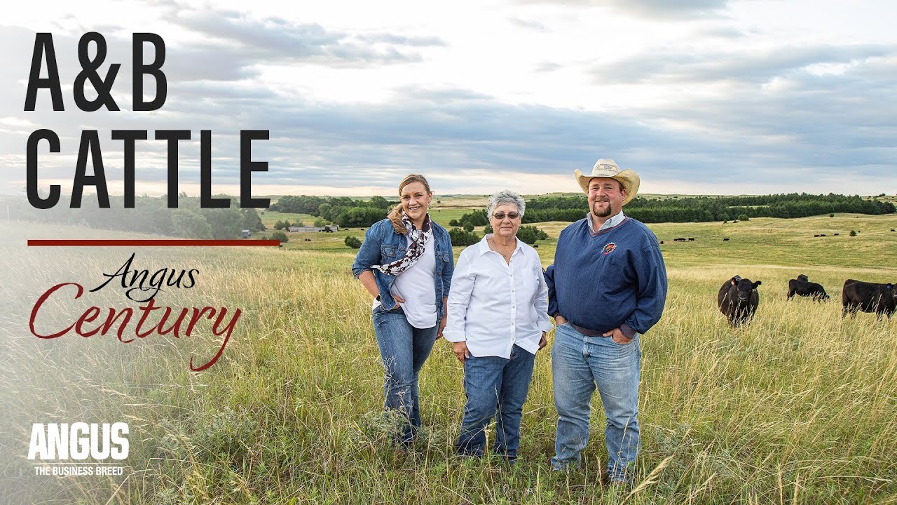 Life's symmetry - I am Angus.