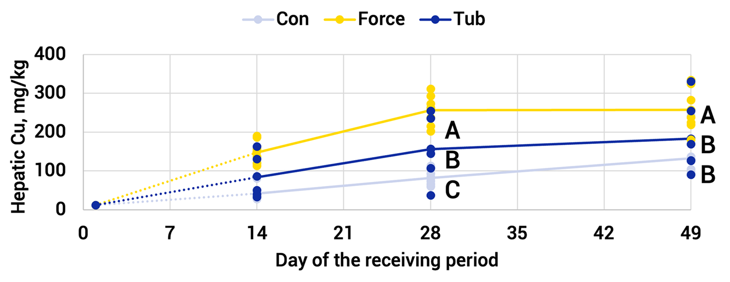 Fig. 2: Effect of supplement delivery method on liver copper concentrations