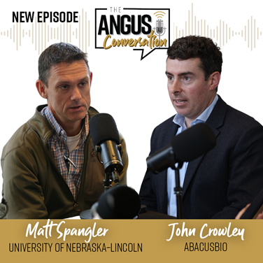 The Angus Conversation