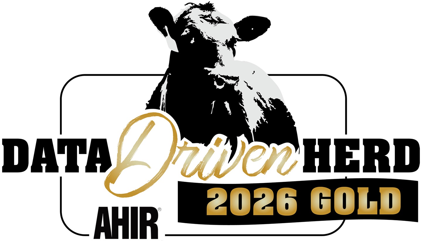 Data Driven 2026 Gold Herd logo