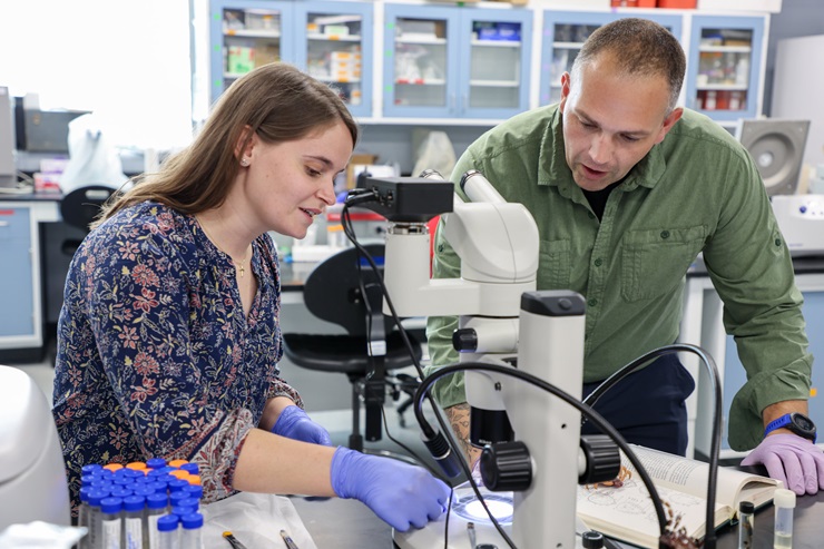 Taylor Pearson (left) and Chris Cleveland examine a tick specimen under a microscope in their lab. Their research supports UGA’s One Health approach to protect the health of people, animals and the environment across Georgia.