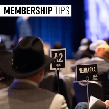 member tips