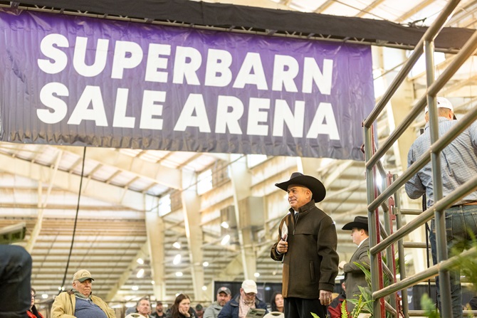 2025 Foundation Heifer Package Sale Event