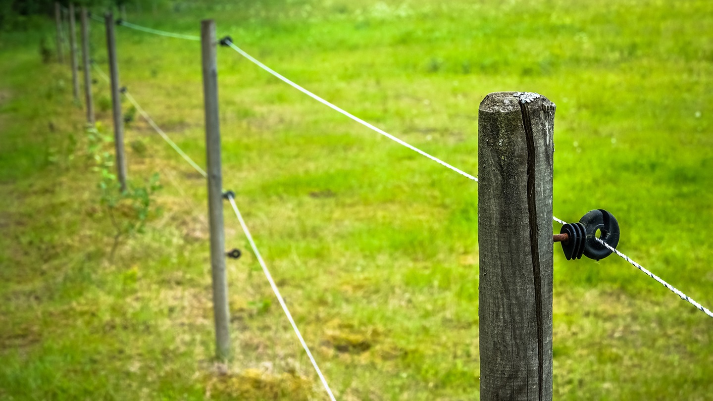 electric fence