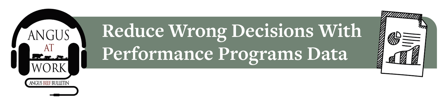 Reduce Wrong Decisions With Performance Programs Data