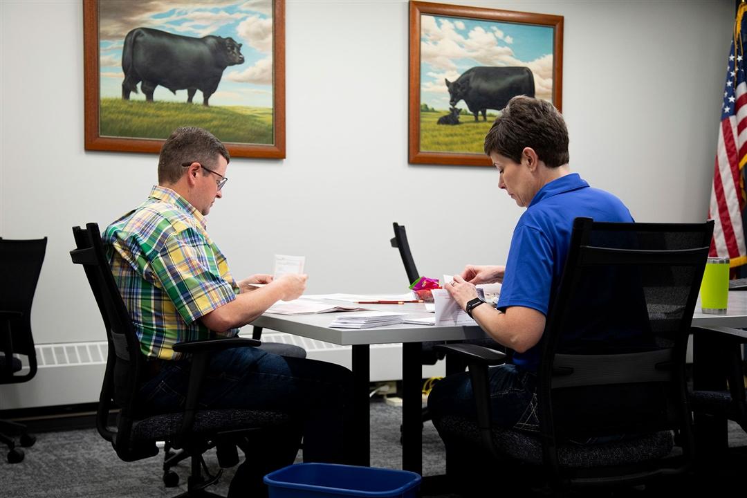 A man and woman sit in an office at American Angus Association headquarters to count paper ballots submitted by members to elect delegates for the 143rd Annual Convention of Delegates.