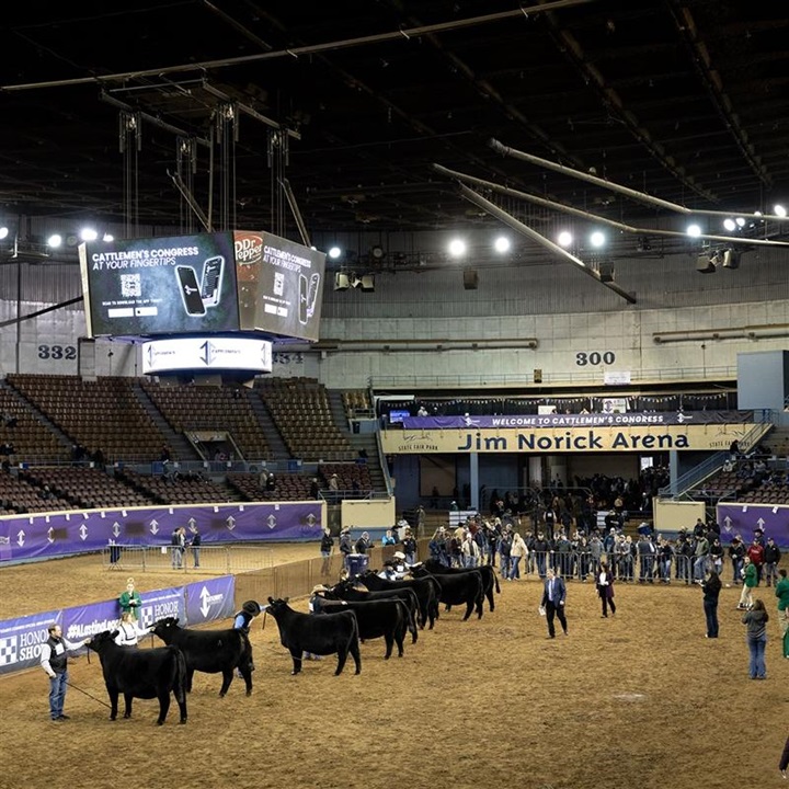 A full showring at Cattlemens Congress event in Oklahoma City, Oklahoma.