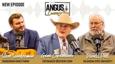 The Angus Conversation