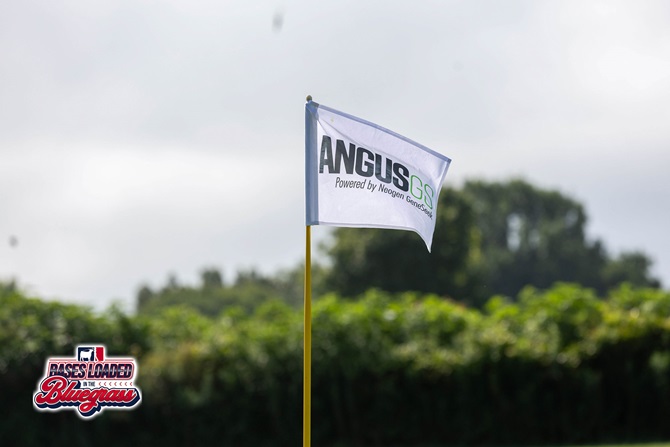 An AngusGS promotional flag marks a hole on the course during the Bases Loaded in the Bluegrass golf tournament.