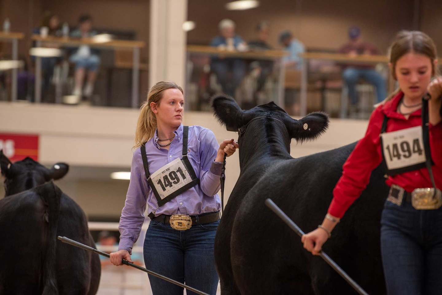 Ashlyn Mool, 2023 Junior Herdsman of the Year