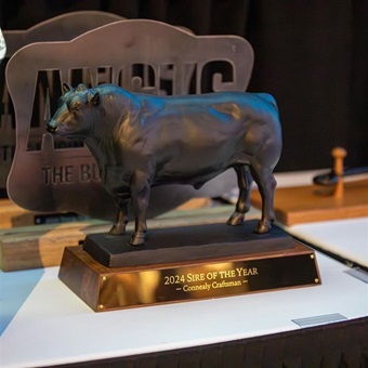 A bronze bull award.