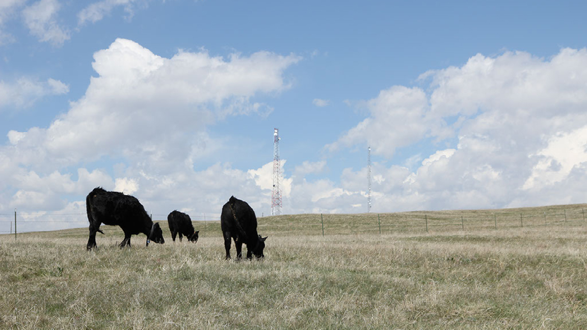 0426EXTRAmg_GrazingMOU