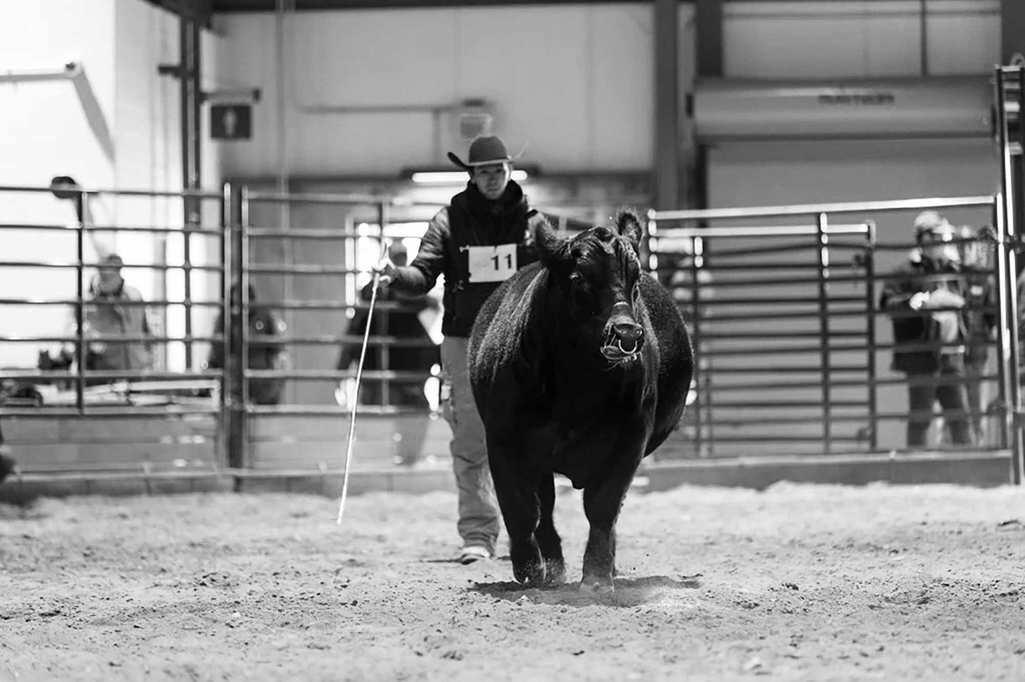 Cole Atkinson in the ring