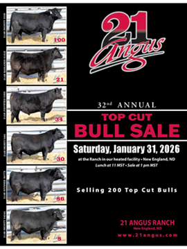 21 Angus Ranch Sale Book