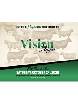 Vision Angus Sale Book Cover