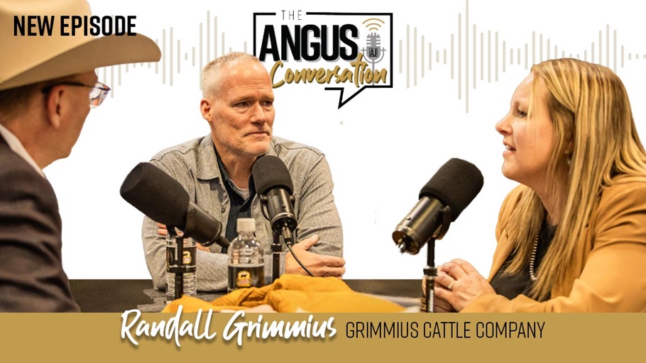 The Angus Conversation
