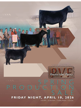 PVF Sale Book Cover