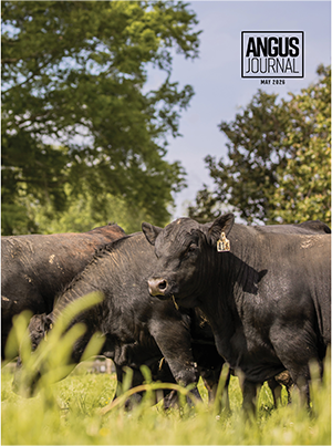 Current Angus Journal Issue Cover