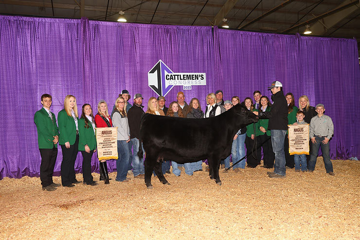 The 2023 Angus Foundation Heifer Package, donated by Coleman Angus of Charlo, Montana.