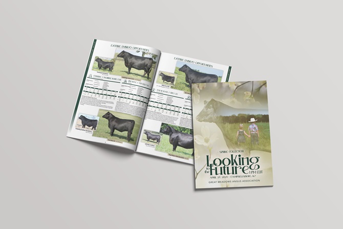 Great Meadows Angus Sale Book Designed by Angus Media