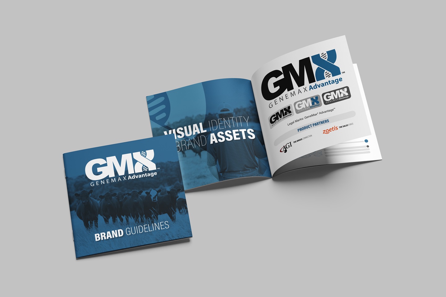GeneMax Brand Guidelines mockup