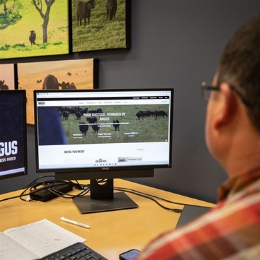 Person using Angus website