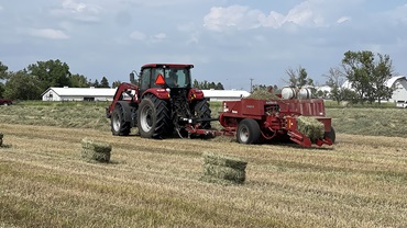 curing hay