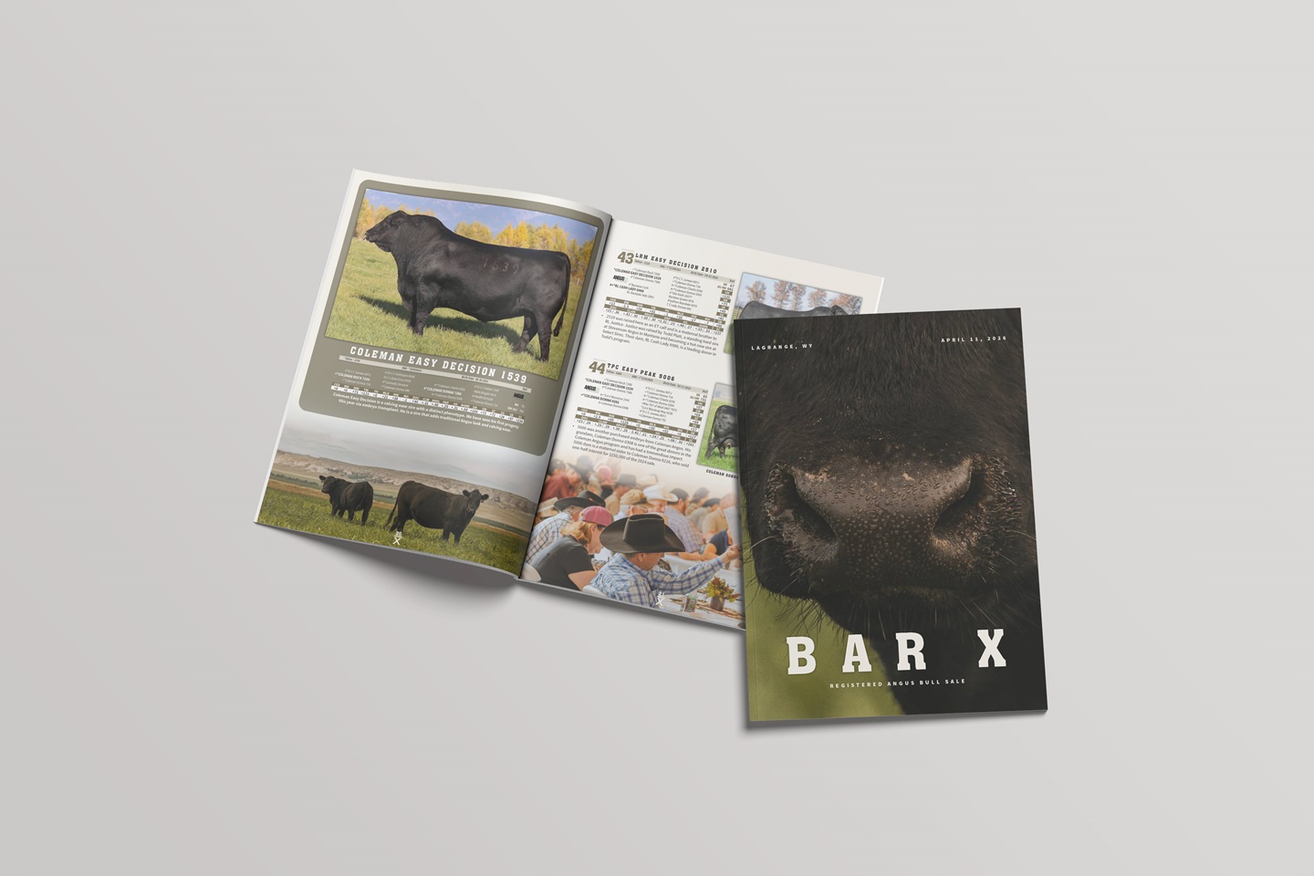 Bar X sale book mockup