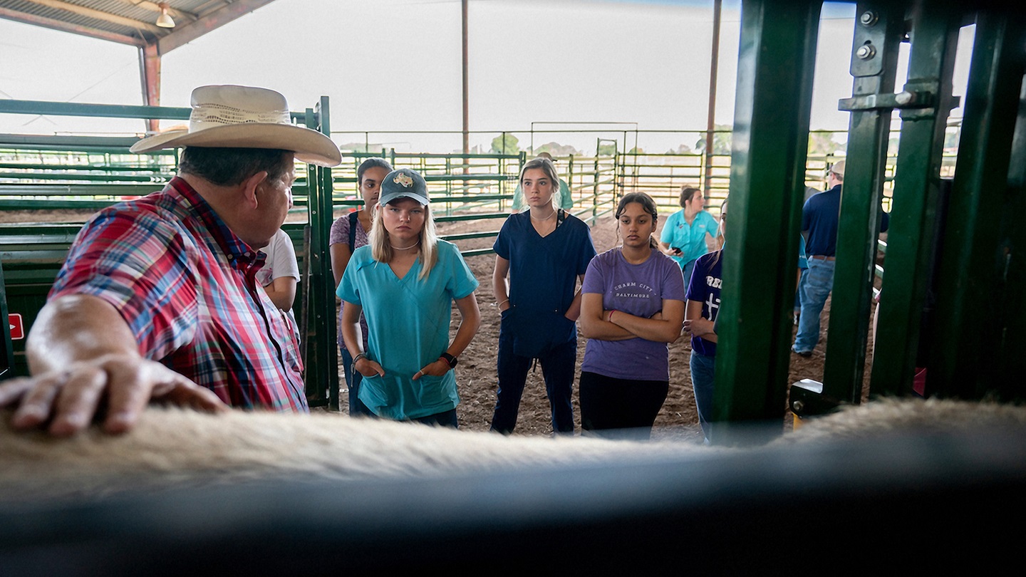 veterinary instruction