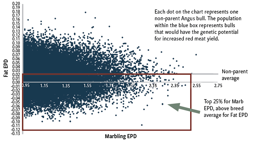 Fig. 1: Top 25% marbling EPD non-parent bulls