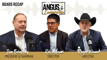 The Angus Conversation Board Recap