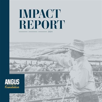 2024 Impact Report