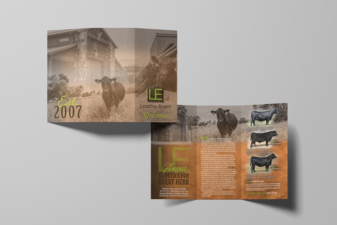 Lylester Brochure Designed by Angus Media