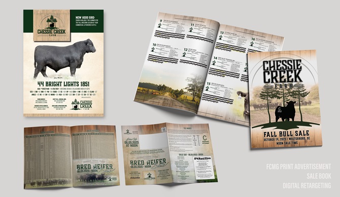 Chessie Creek Integrated Marketing Materials Designed by Angus Media