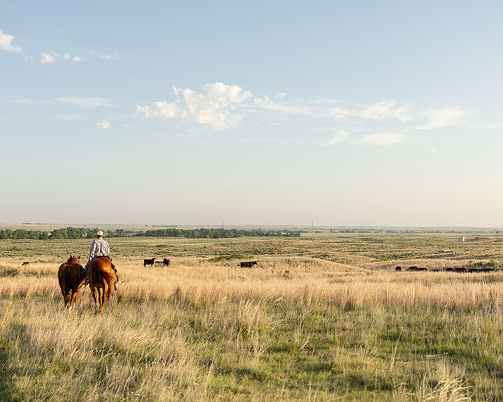 man on a horse