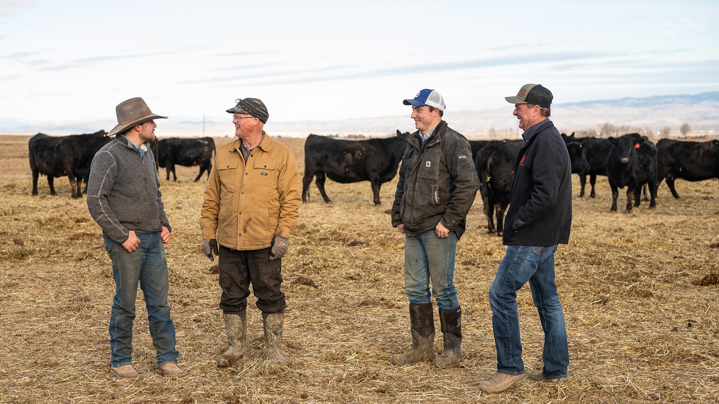 Van Dyke Angus Ranch