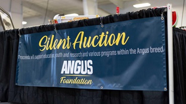 Silent Auction Banner