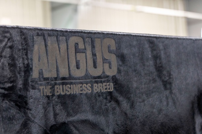 A black cowhide featuring the Angus logo was sold in the Angus Foundation Silent Auction at the 2025 NJAS event.
