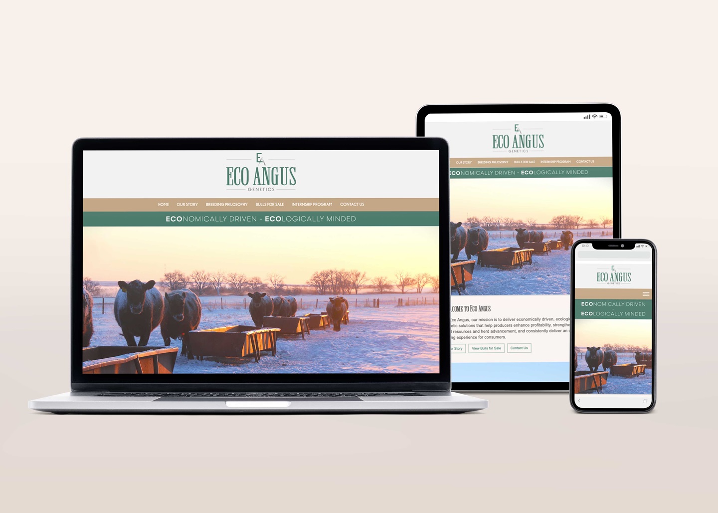 Eco Angus website mockup