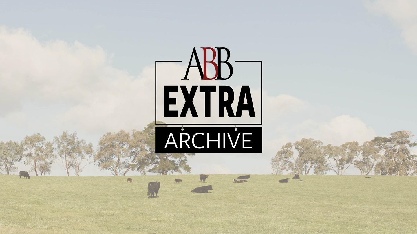 ABB-Archive-title-16x9