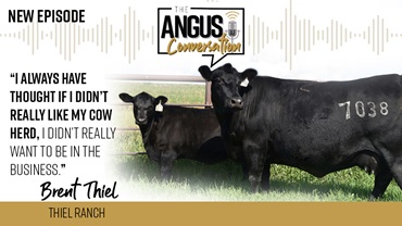 The Angus Conversation