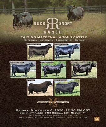 Bucksnort BB 09-26