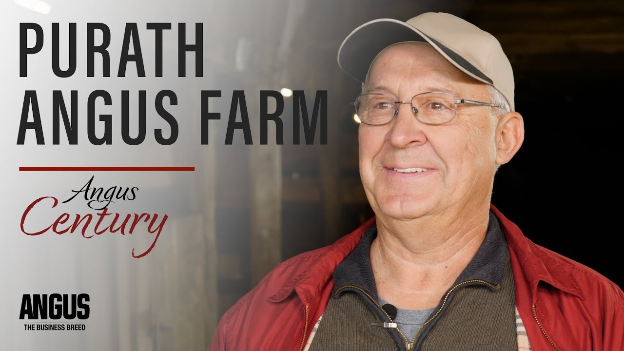 Purath Angus Farm