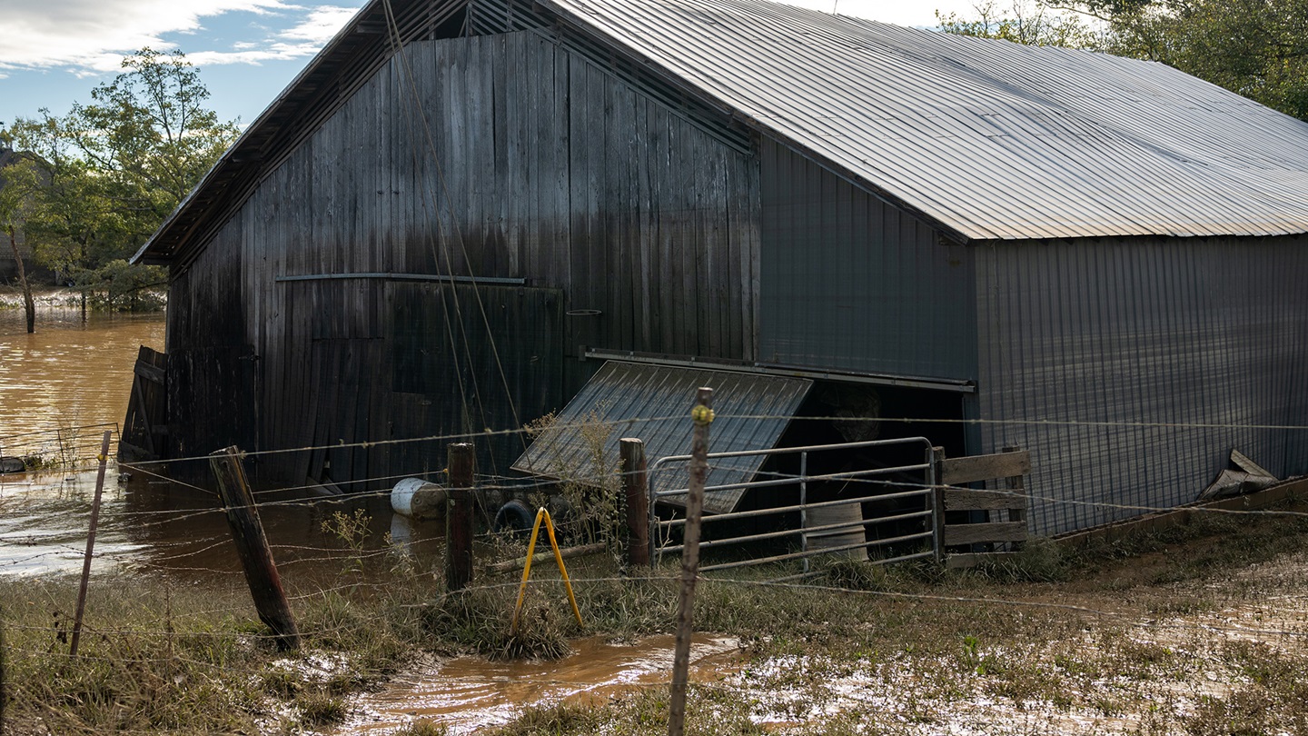 flooded barn