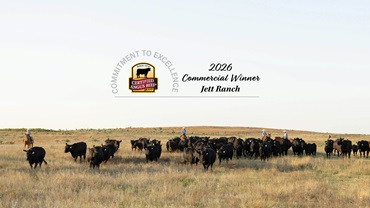 Jett cattle