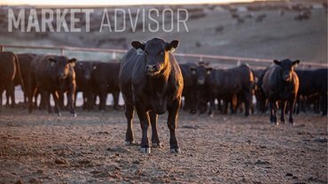 0325-marketadvisor16x9