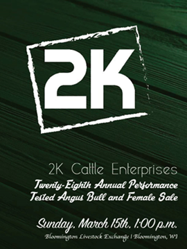 2K Cattle Sale Book Cover